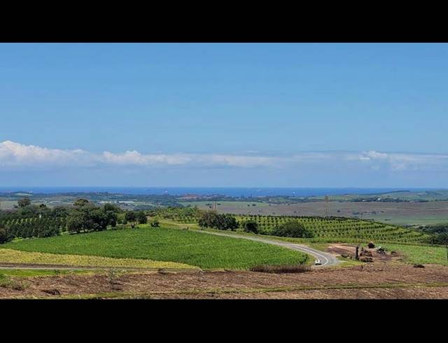 FARM FOR SALE IN BALLITO